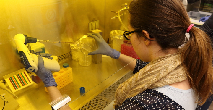 A person conducts research in a food science lab. 